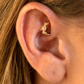 Piercing Daith/Rook