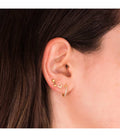 Piercing Lobo